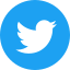 Twitter logo icon